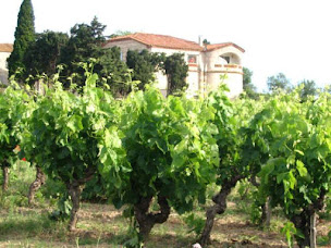 Photo n°26 de La Tour La Pagèze à Fleury d'Aude (Chambre d'hôtes)