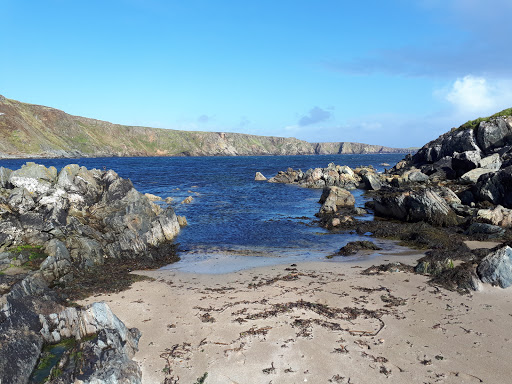 Norwick - Visual