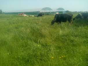 Photo n°1 de Ferme de la Paverie à La Guerche-de-Bretagne (Ferme)