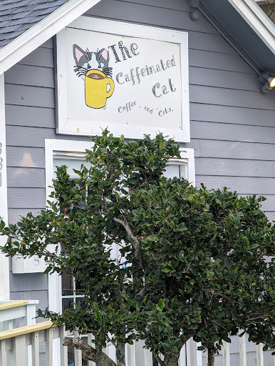 Caffeinated Cat - Visual
