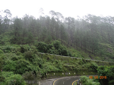 Af1qipmegann4bqyy Qexfdsx1srdxw2kbdbsp75ae2z=s387 K No