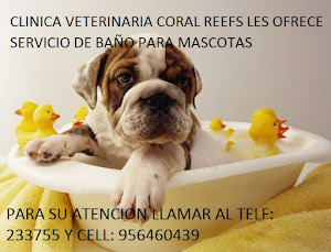 Clinica Veterinaria Coral Reefs 4