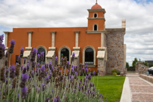 Excellent Transportation Tour