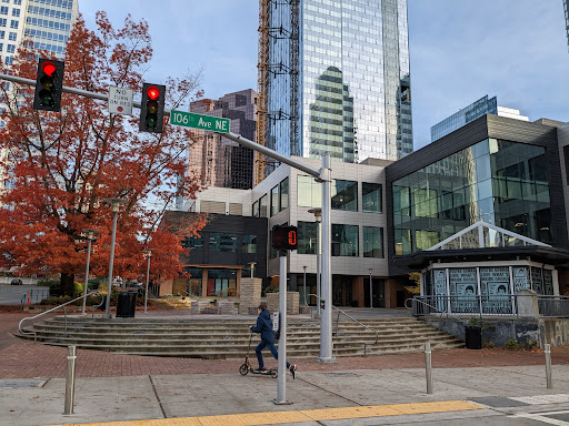 Bellevue Connection - Visual