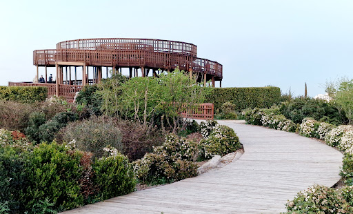 Valdebebas-Felipe VI Park - Thumbnail
