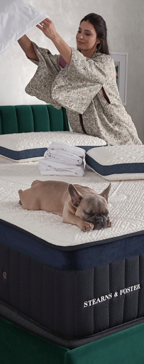 Morrell's Mattress Experts of Lake City - Thumbnail