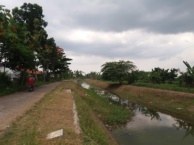 Photos of D.E.PAY. House of Bird and Farm