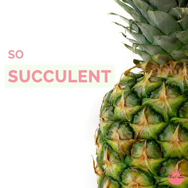 Breakfast Cure by null