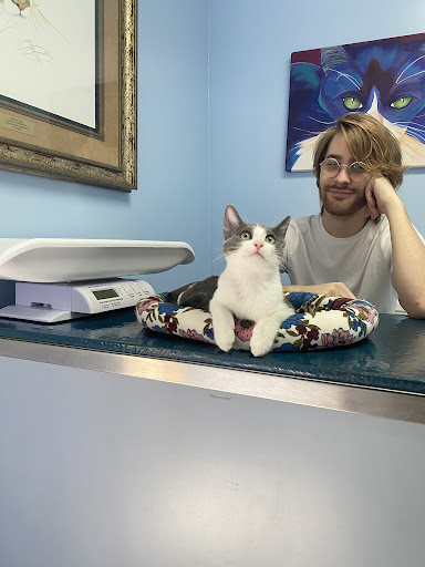 Tustin Santa Ana Vet Hospital - Thumbnail