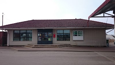 Photos of Kiiu tankla
