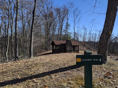 Allegheny Trail (Seneca State Forest Trail-head)