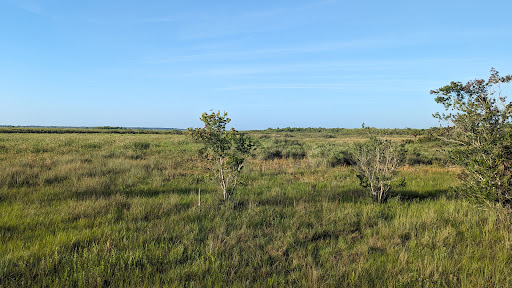 CREW Marsh Trails - Visual