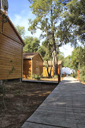 Photo n°46 de Camping de la Corsive à La Barre-de-Monts (Agence de location de mobile homes)