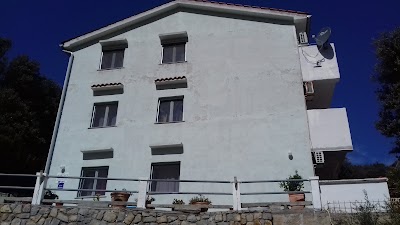 Photos of Apartments Rakip