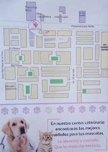 Centro Veterinario Animal Life 3