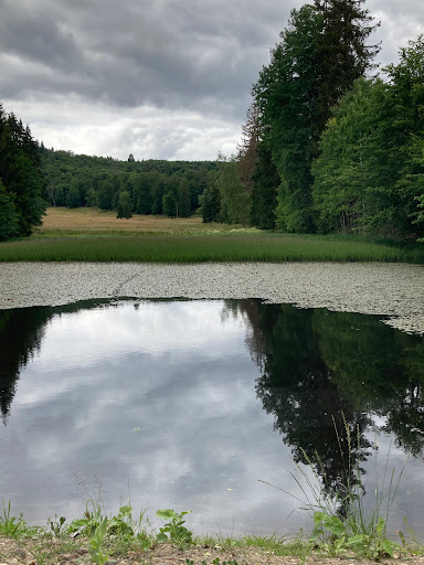 Helltalsteich - Visual