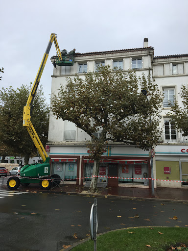 Photo de Entreprise Olivier SAS