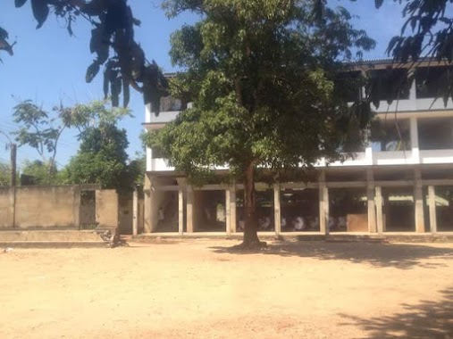 Rawathawaththa Methodist College, Author: L.C Demel