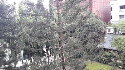 Photos of Gulshan Club Ltd.