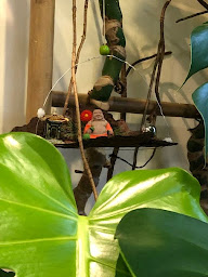 Photo n°50 de Chao Asia à Locmiquélic (Sushi à emporter)