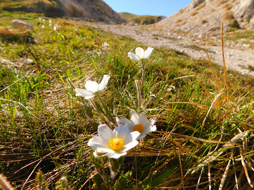 Escursioni Abruzzo - Visual