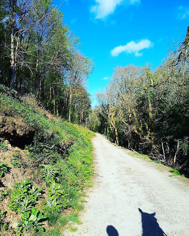 Idless Woods Carpark