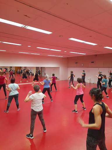 Essagym - Visual