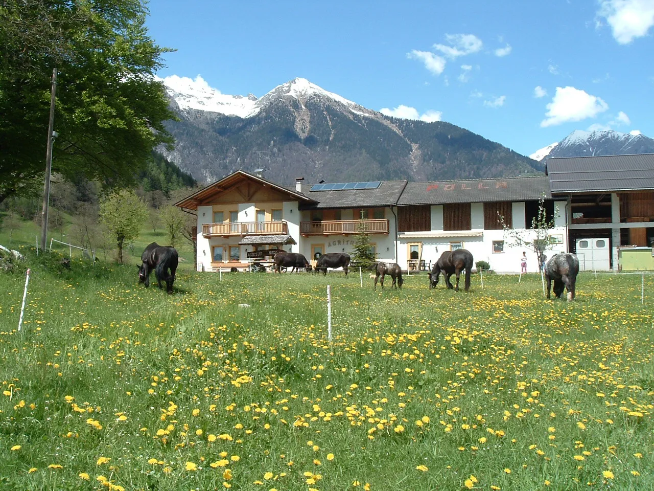 Agriturismo Maso Pan