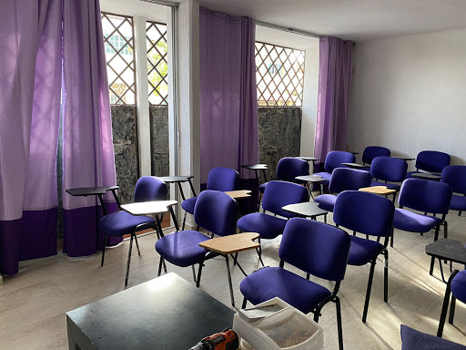 Instituto para las Inteligencias Múltiples
