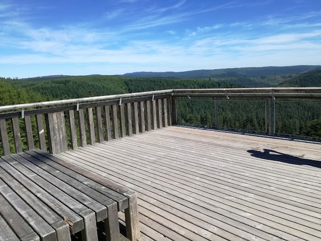 Aussichtsplattform Ellbachseeblick