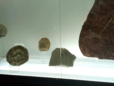 Photos of Museo Regional Mixteco - Tlay&uacute;a