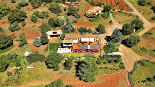 Photo n°110 de Le Mas de Riri à Celles (Hôtel)