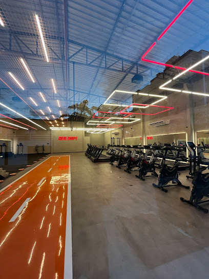 Ideal Shape Academia