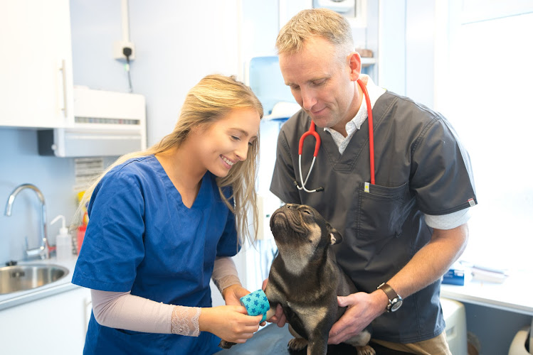 The Vet Clinic Leighton Buzzard