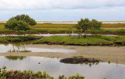 Photos of 1st Island (SL)