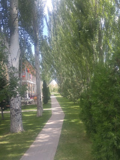Photos of Sol Del'fin