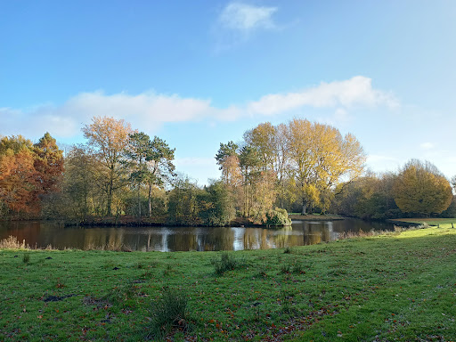 Gorechtpark - Visual