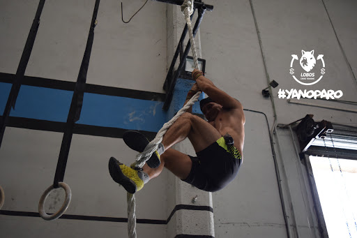 LOBOS CROSSTRAINING - Visual