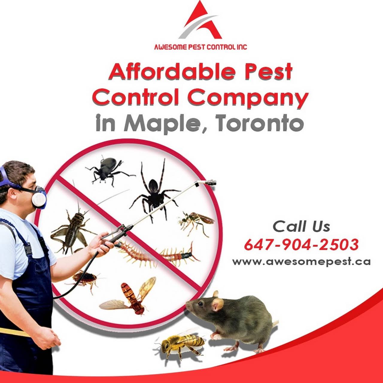Awesome Pest Control Inc Toronto Awesome Pest Control is one of the