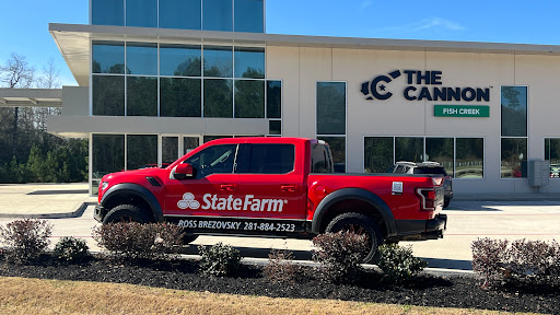 Ross Brezovsky - State Farm Insurance Agent Logo