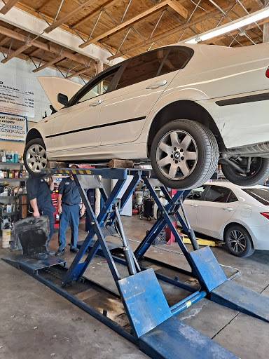 Lee Auto - Visual