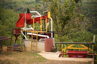 Photos of Mirazu