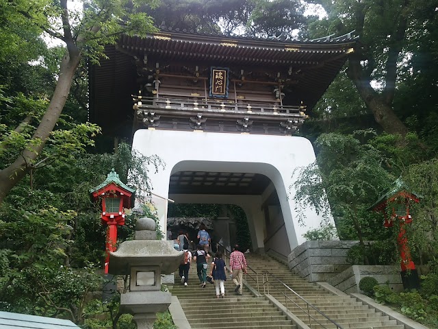 Enoshima Aquarium