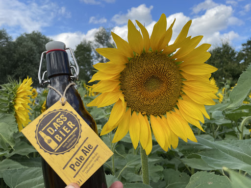 Prignitzer Hausmosterei / D.ASS Bier - Thumbnail