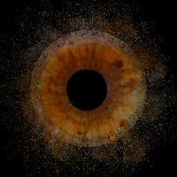 Photo n°5 de Studio Tancrède à Coutances (Agence de presse)