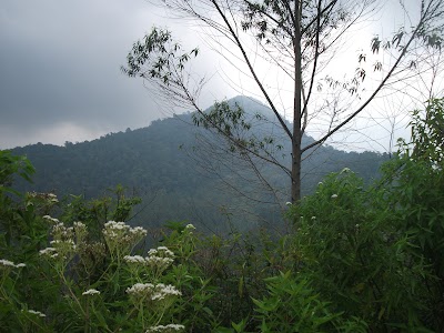 Photos of Gunung Bukit Tunggul
