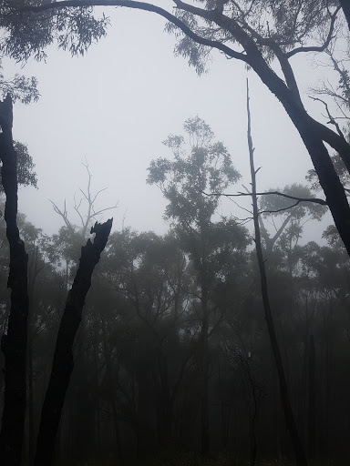 Mount Macedon Fire Brigade (CFA)