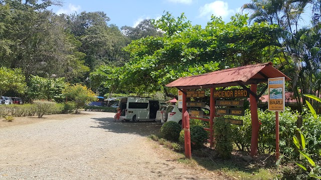 Dominical