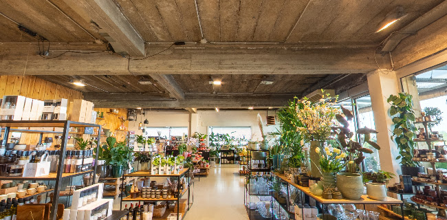 Groen & Cocoon - Tuincentrum