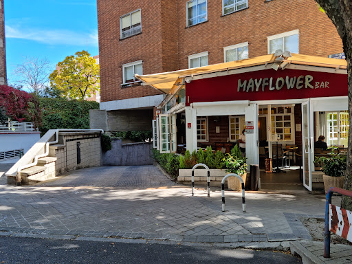 Bar Mayflower - Visual